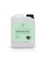 Gastrogel suplement dla koni wrzodowych 2,5l