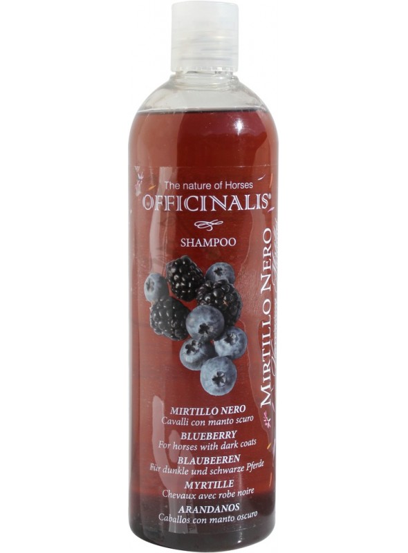 Szampon dla koni Blueberry OFFICINALIS 500ml