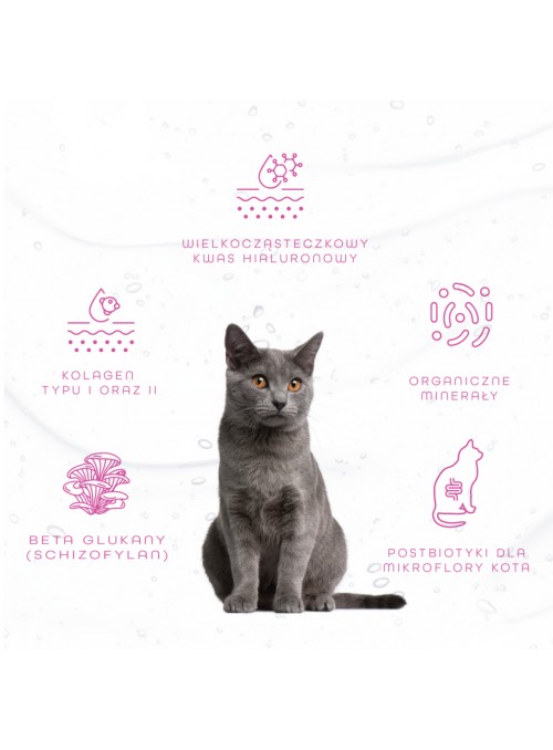 Hippovet Pharmacy GastricAid Cat