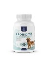 Hippovet Probiome Dog probiotyk dla psa